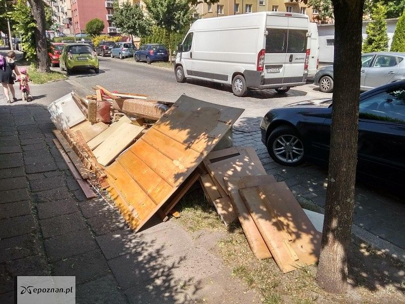 fot. Sylwia
