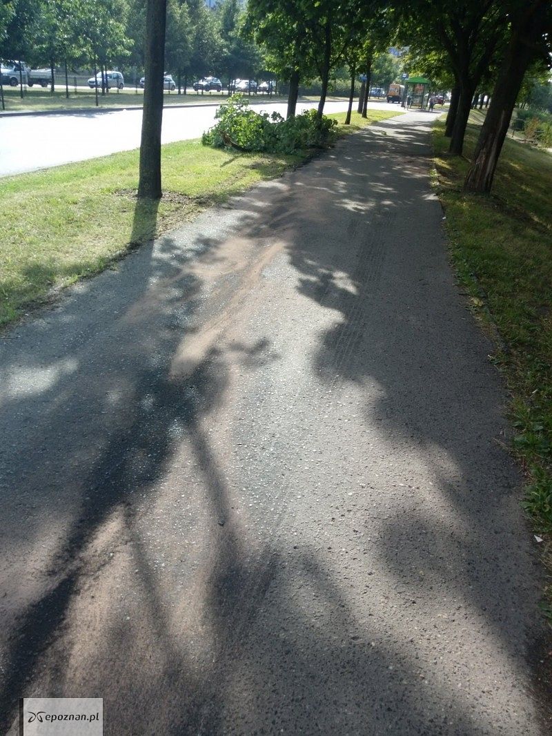 fot. Czytelnik
