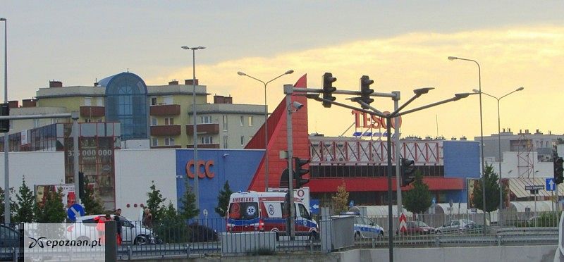 fot. Katarzyna D.
