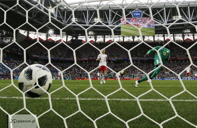 Gol do pustej bramki Polaków. | fot. YURI KOCHETKOV / PAP
