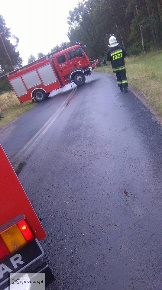 fot. OSP Budzyń