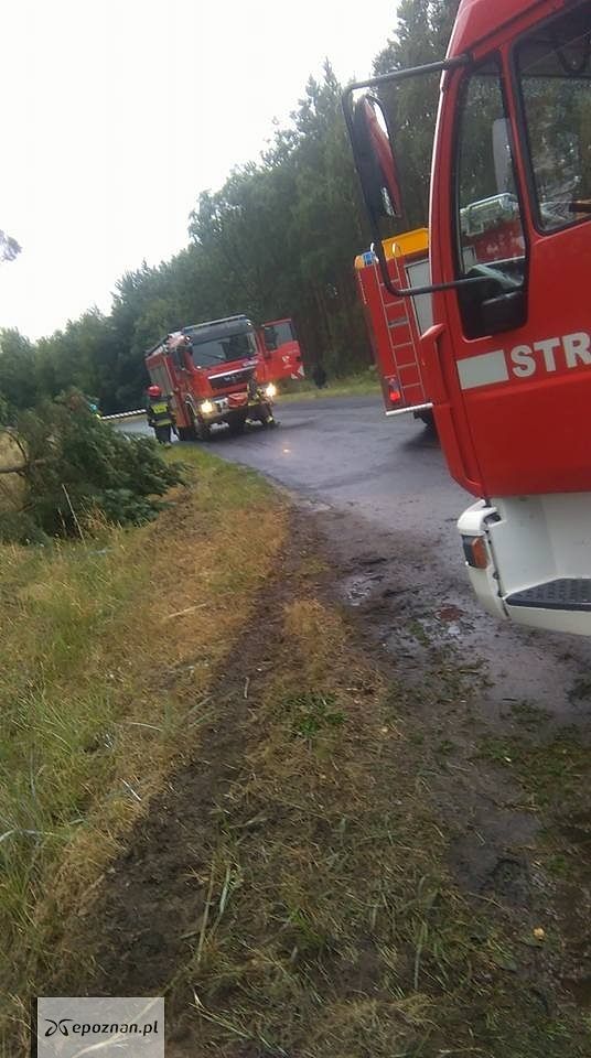 fot. OSP Budzyń