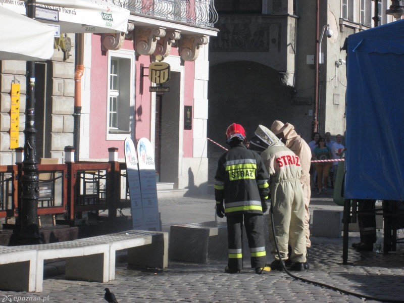 fot. Nishio Poznań