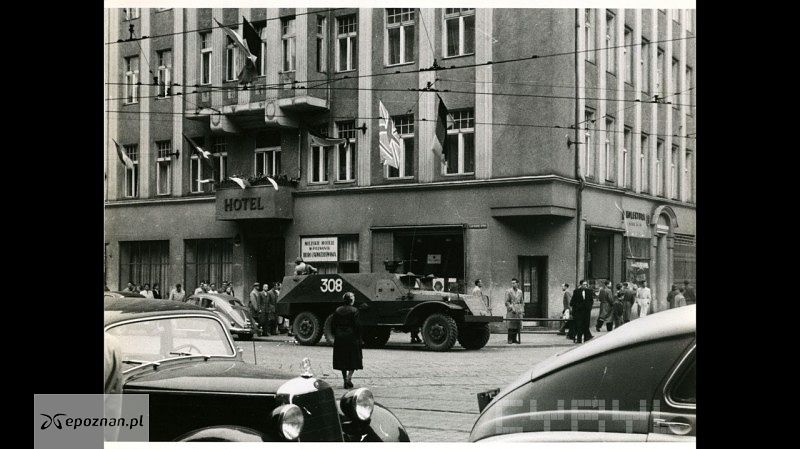 fot. Peter Schaeffer