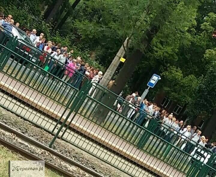 fot. R via Spotted: MPK Poznań
