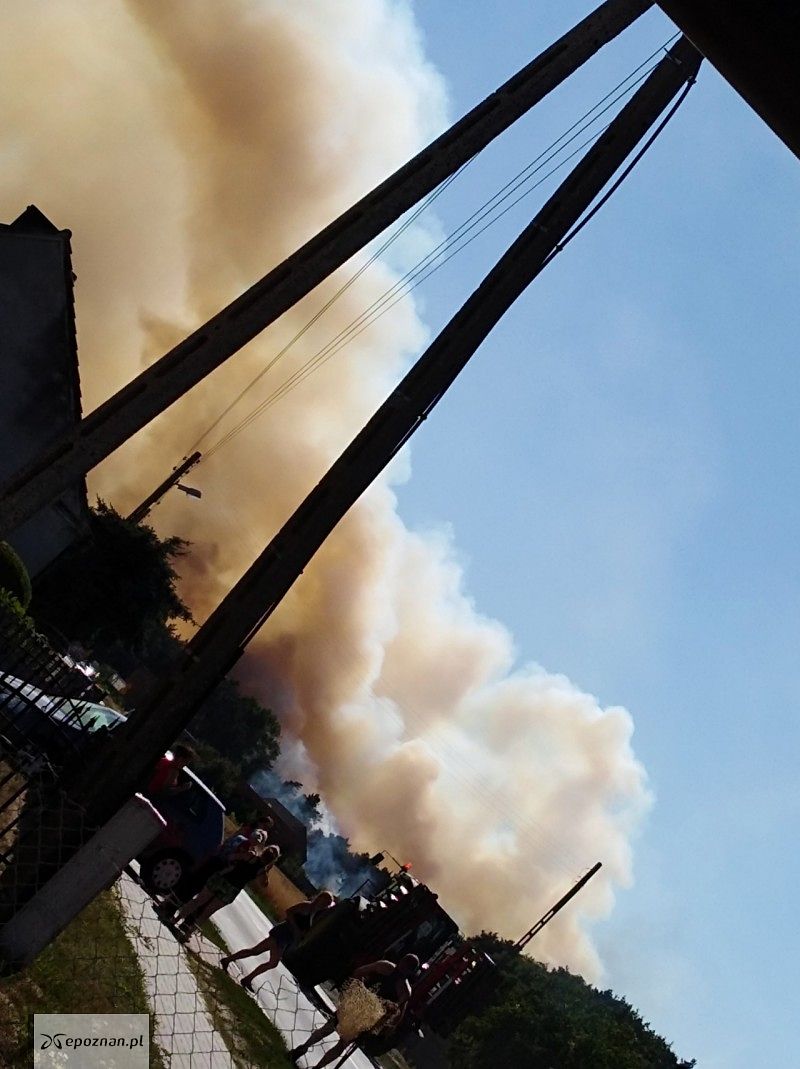 fot. czytelniczka