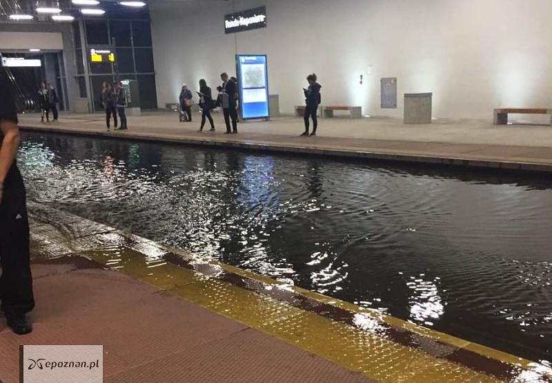 fot. Alert Poznań
