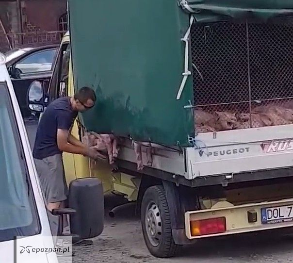 fot. Mariusz Wojciechowski @ YT