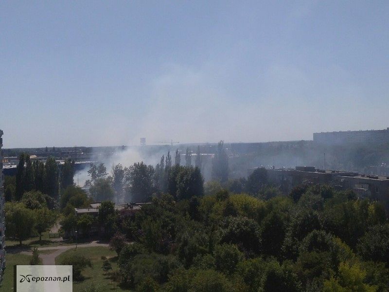 fot. czytelniczka