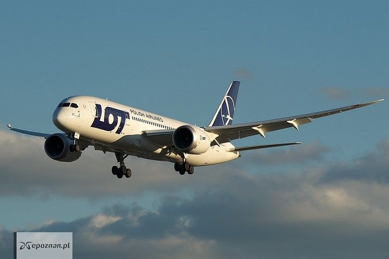 fot. BriYYZ /wikimedia/CCBYSA20