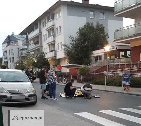 fot. czytelnik