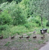 fot. Nowe ZOO