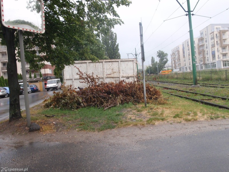 fot. Straż miejska