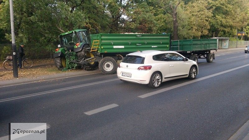 fot. Maciej S.
