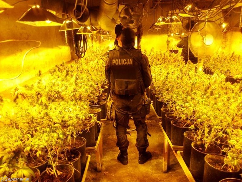 fot. Policja w Pile