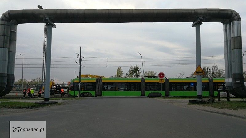 fot. Tomasz M.