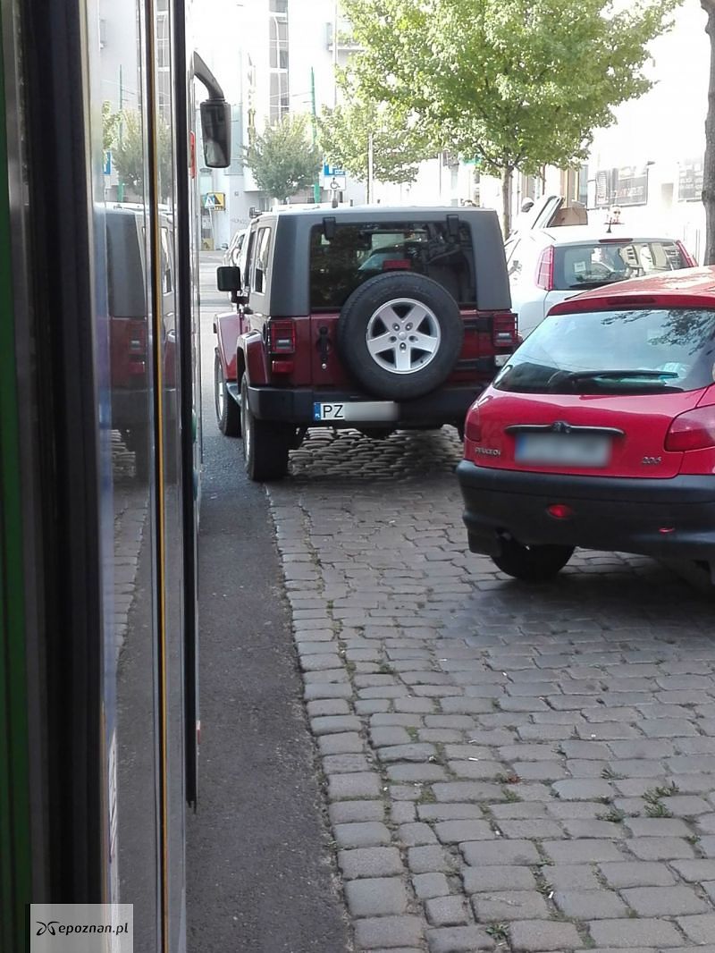 fot. Czytelnk