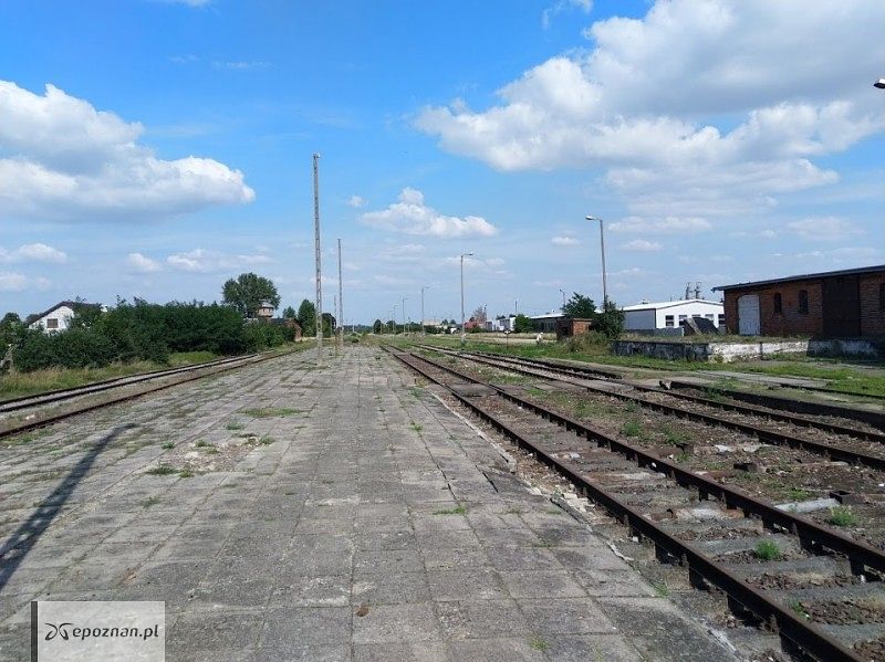 Gołańcz. Nieczynne torowisko w kierunku Kcyni | fot. BS