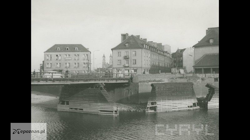 fot. W. Basiński/CYRYL Poznań