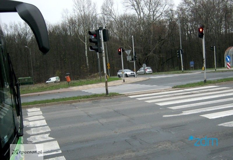 fot. ZDM