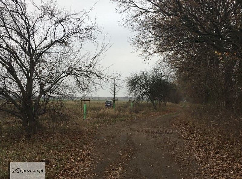 Poniedziałkowe spotkanie z klientem | fot. Ewa