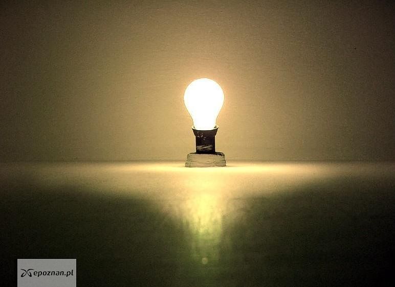 fot. Igore Konforti/freeimages.com