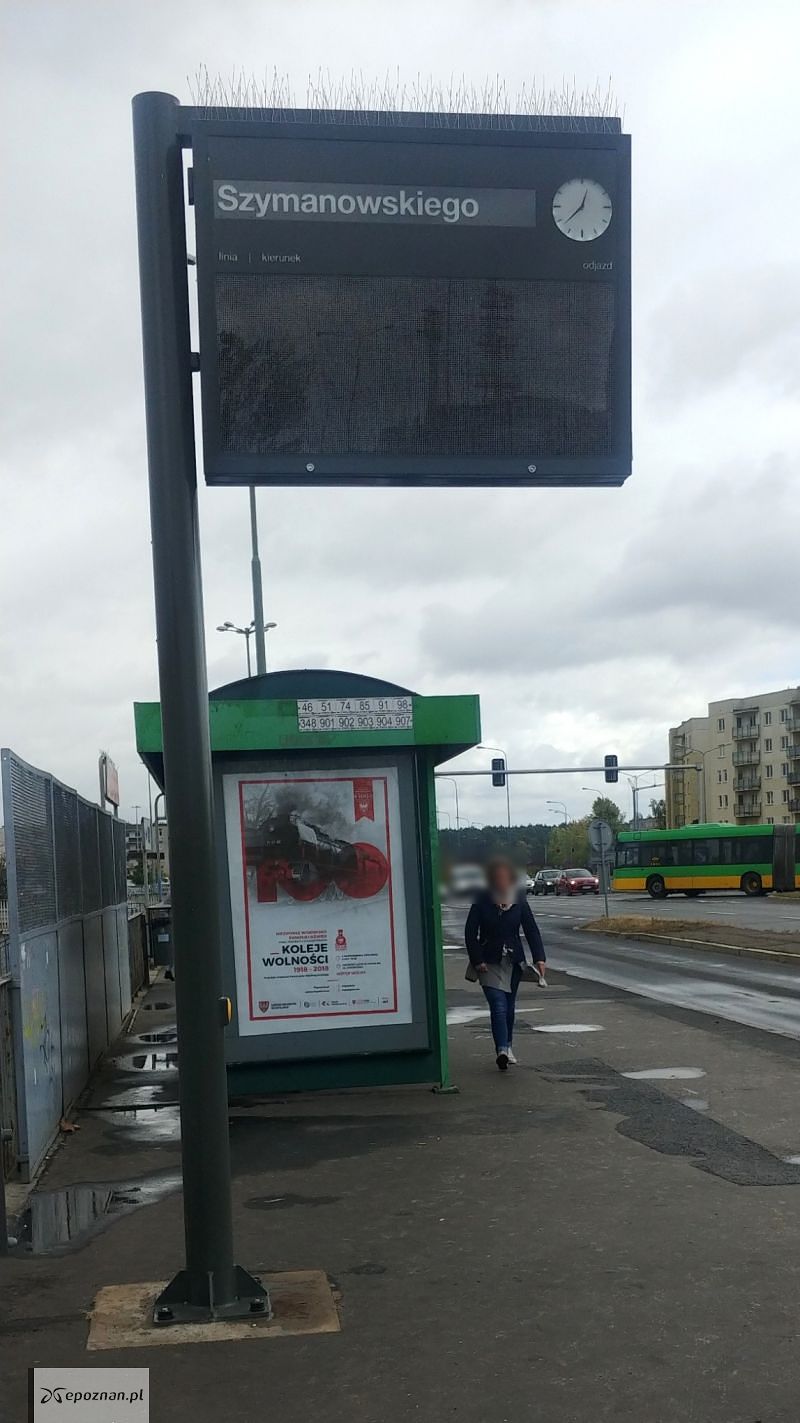 fot. Czytelnik