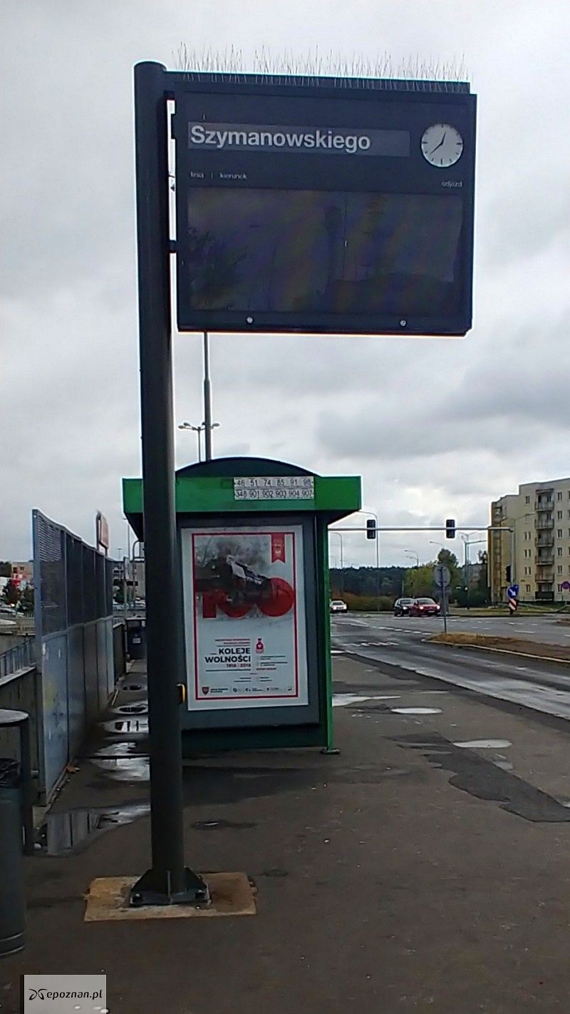 fot. Czytelnik