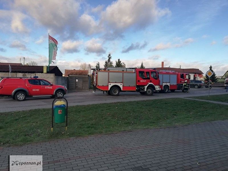 fot. Asta24.pl