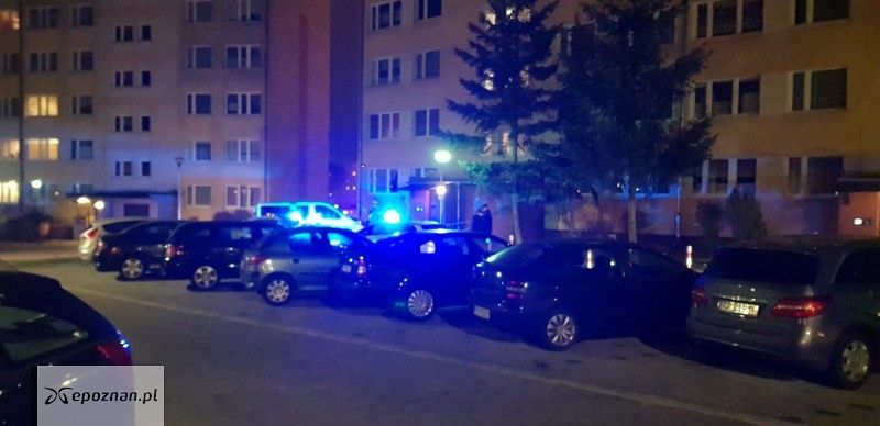 fot. Asta24.pl