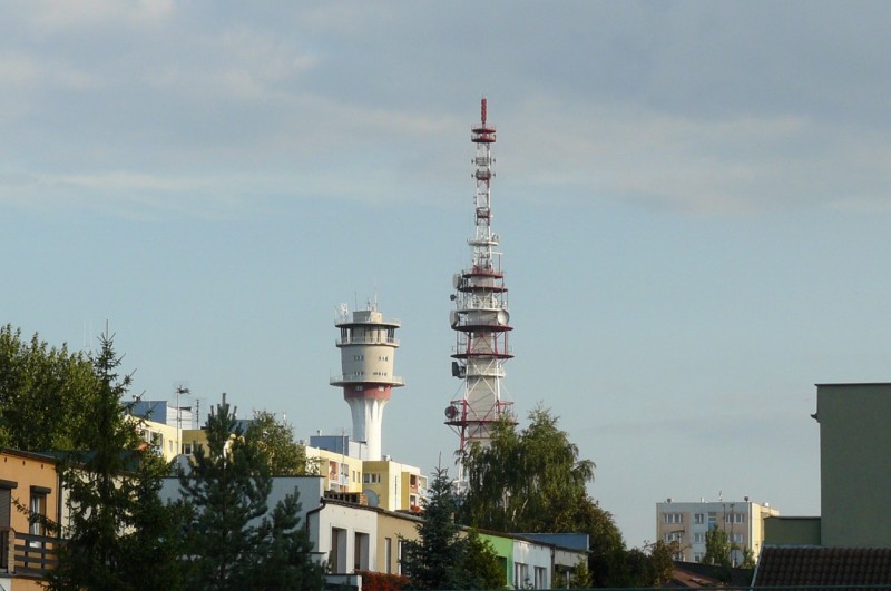 fot. MOs810 - Own work, CC BY-SA 3.0, https://commons.wikimedia.org/w/index.php?curid=29116939