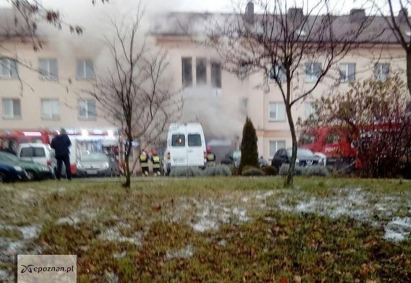 fot. Czytelniczka