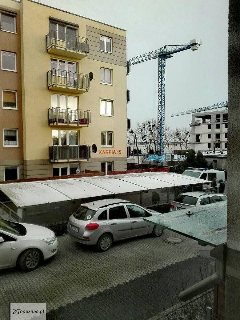 fot. Anka A.