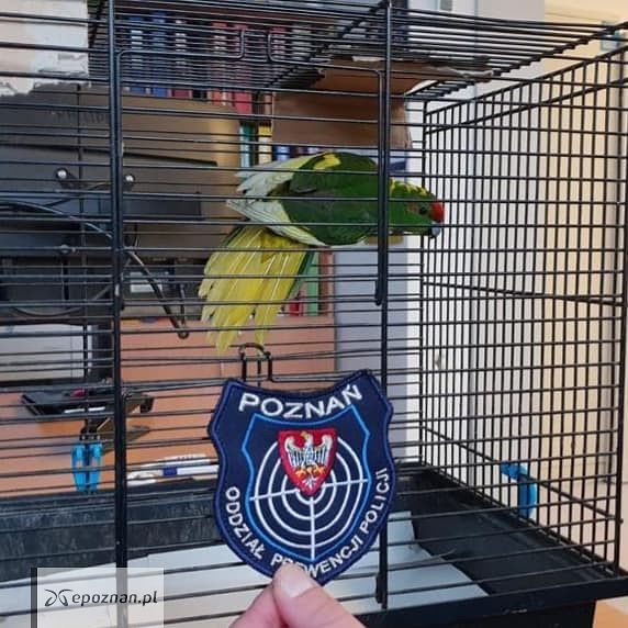 fot. Wielkopolska Policja @ FB