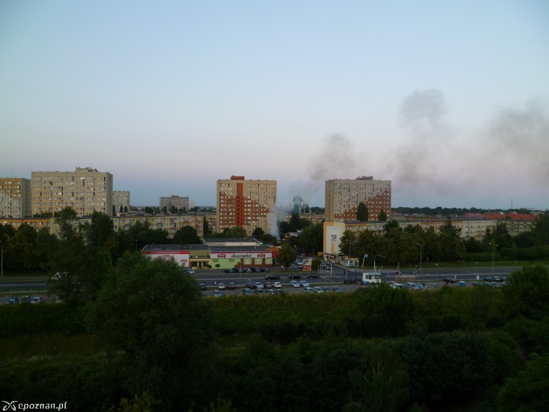 fot. Mariusz