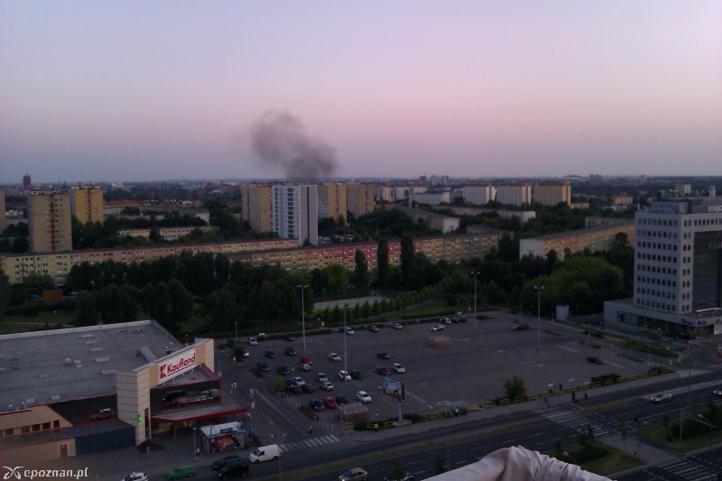 fot. Ania