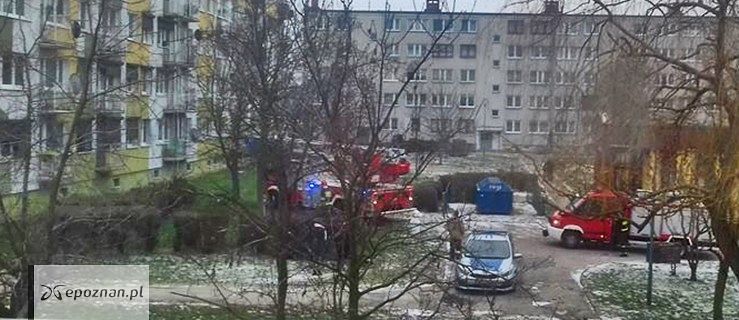 fot. interauta via jarocinska.pl