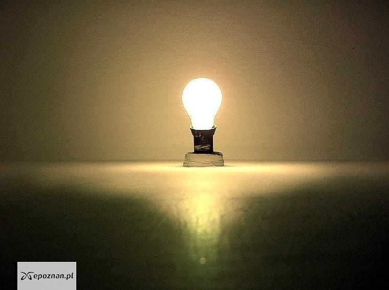 fot. Igore Konforti/freeimages.com
