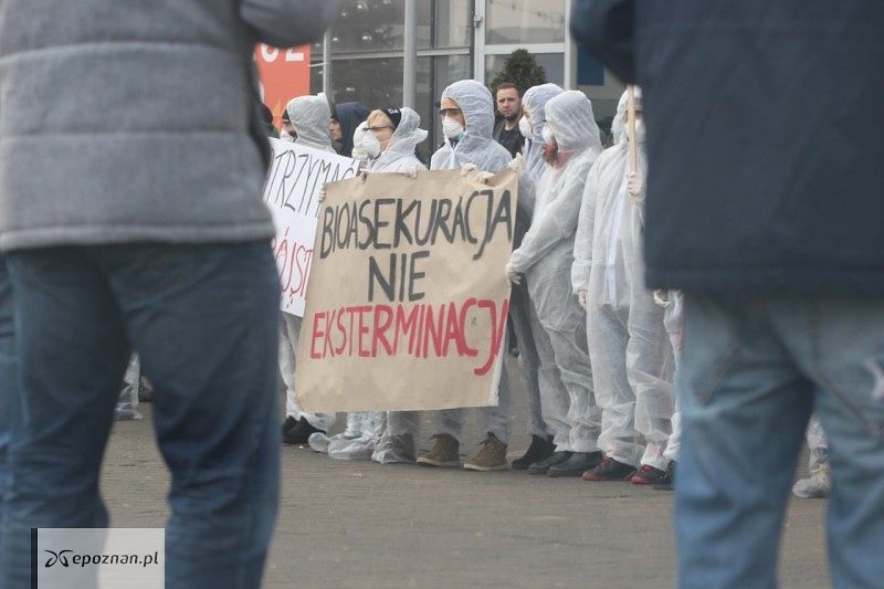 fot. Renata Winczewska