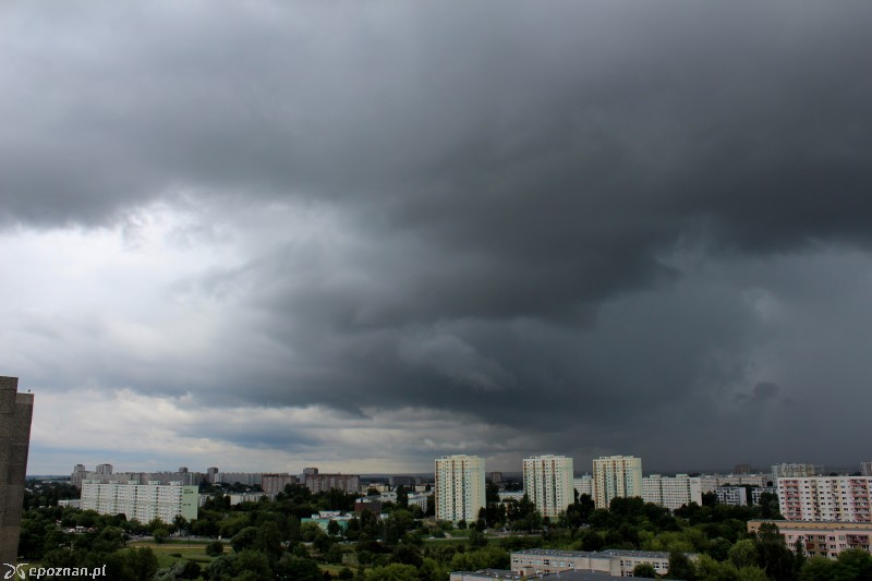 fot. Anna Księżopolska