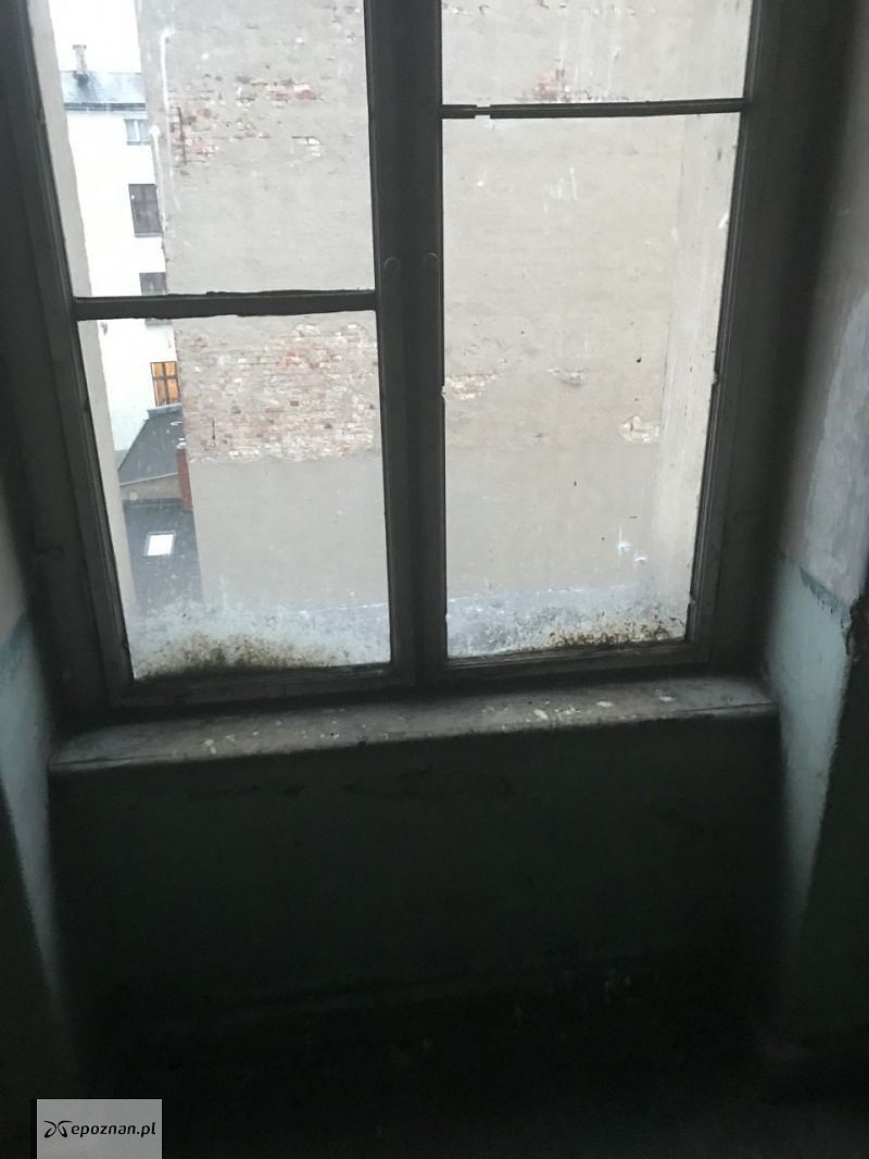 fot. czytelniczka
