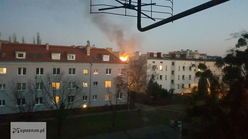 fot. czytelnik