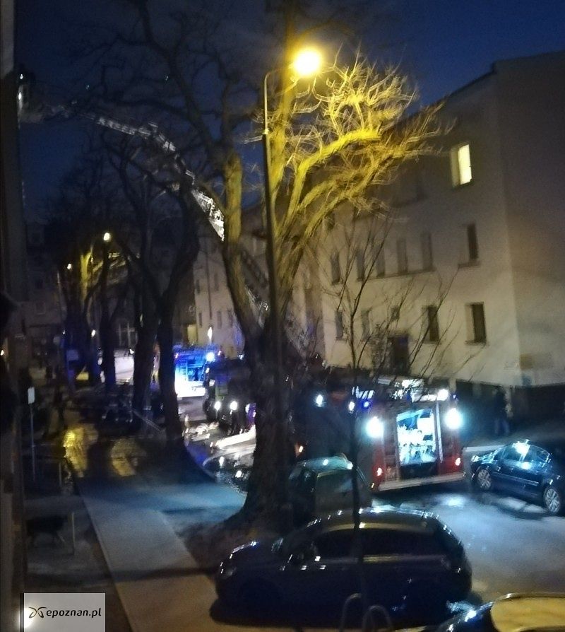 fot. czytelnik