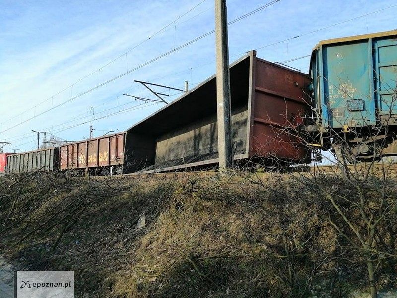 fot. czytelnik