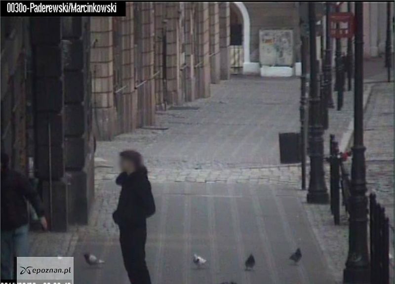 fot. Straż Miejska