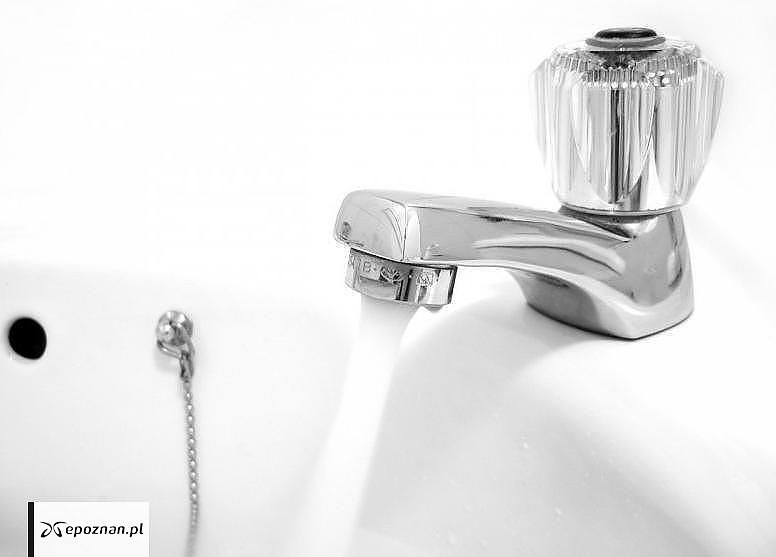 fot. Matthew Bowden/freeimages.com