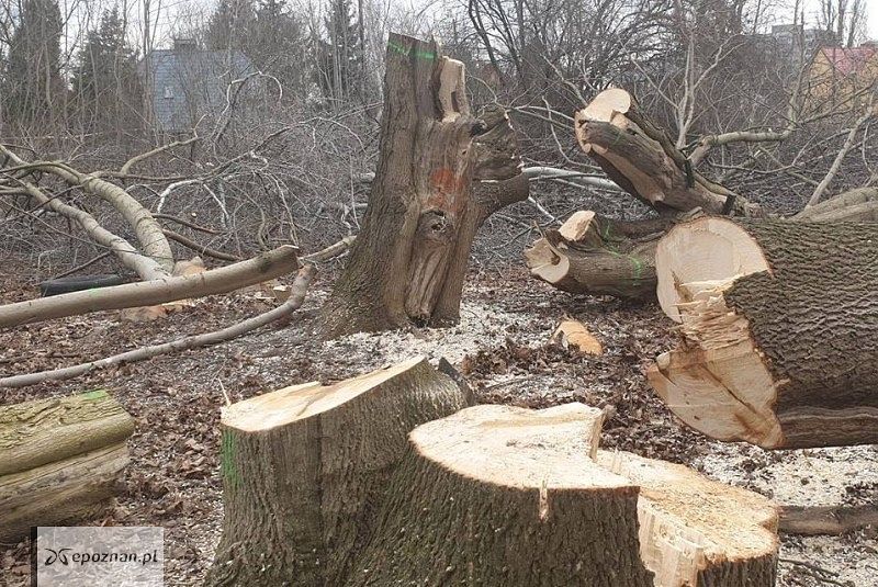 fot. FB/Ulepsz Poznań
