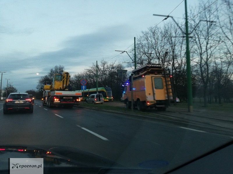 fot. czytelnik