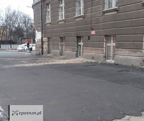 fot. czytelnik
