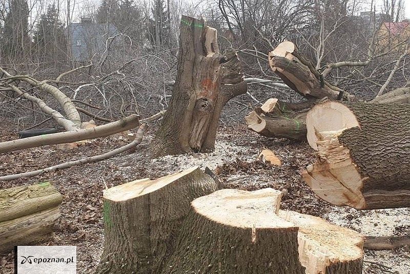 fot. FB/Ulepsz Poznań